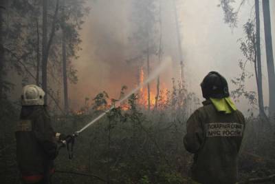 Жители Челябинской области бросают свои дома, спасаясь от лесных пожаров