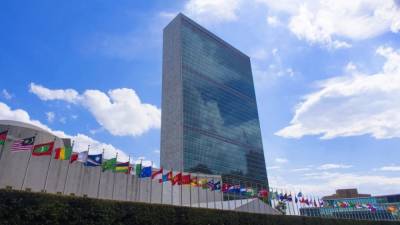 "Уберите руки": эфиопы вышли на акцию протеста у здания ООН в Нью-Йорке