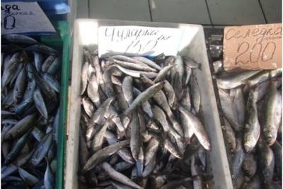Почему на крымских прилавках скоро не будет местной рыбы