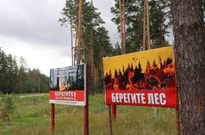Запрет на посещение лесов в Липецкой области продлён до 29 июля