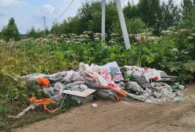Выбросившие кучу мусора на обочину в Янино прокололись, забыв в отходах документы