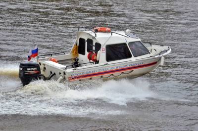 Тонущего ребенка спасли на Терлецких прудах в Москве