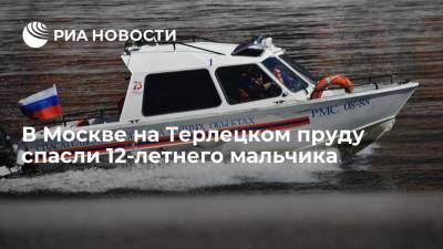 Спасатели вытащили 12-летнего мальчика из Терлецкого пруда в Москве, ребенок госпитализирован - ria.ru - Москва
