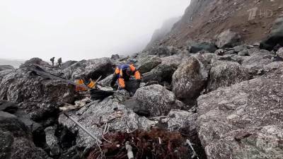 На месте крушения пассажирского Ан-26 на Камчатке обнаружены тела всех погибших
