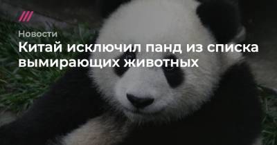Китай исключил панд из списка вымирающих животных