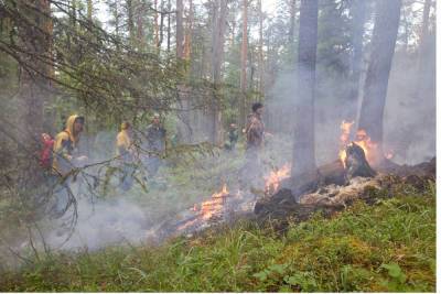 В Якутии за прошедшие сутки ликвидировали 3 лесных пожара