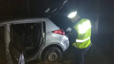 На трассе Екатеринбург — Тюмень пьяная женщина-водитель врезалась в дерево: двое погибли