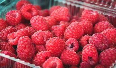 Тюменские садоводы поделились советами по заморозке ягод