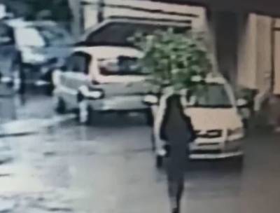 Хрупкая девушка утащила 40-килограммовое дерево из музея и попала на видео
