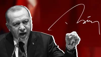 Эрдоган объявил о задержании поджигателя лесов в Турции
