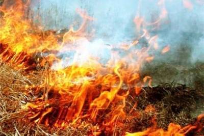 Тамбовчан предупредили о высоком уровне пожароопасности