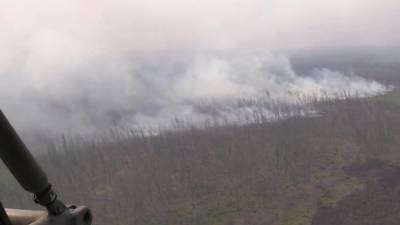Три крупнейших лесных пожара общей площадью почти 60 тысяч гектаров потушено за сутки в Якутии