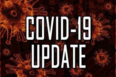 Германия: Институт Роберта Коха опубликовал данные о заболеваемости Covid-19 на 1 августа
