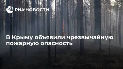 В Крыму объявили чрезвычайную пожарную опасность, запретили посещение лесов