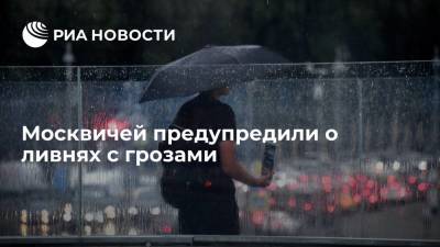 Синоптик Тишковец: в Москве в понедельник ожидаются ливни, грози и до 28 градусов тепла