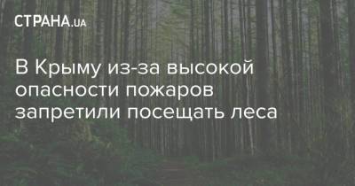 В Крыму из-за высокой опасности пожаров запретили посещать леса
