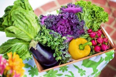 В Роспотребнадзоре проконсультируют тамбовчан по вопросам качества овощей