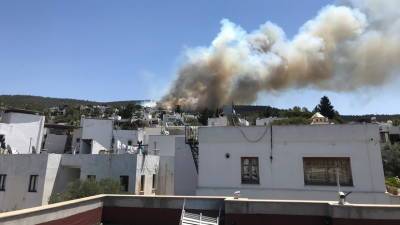 Бекир Пакдемирли - Природный пожар в турецком Бодруме взят под контроль - russian.rt.com - Турция - Бодрум