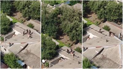 В Харькове мужчина с палкой на крыше дома подрался с полицейскими – отказывался ехать в больницу (видео)
