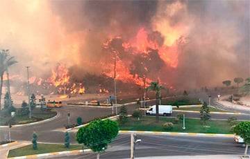 Бекир Пакдемирли - Мощный пожар в Турции удалось взять под контроль - charter97.org - Белоруссия - Турция - провинция Анталья