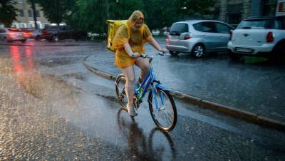 МЧС Ленобласти объявило штормовое предупреждение о грозах с ливнями и градом