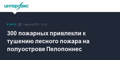 300 пожарных привлекли к тушению лесного пожара на полуострове Пелопоннес