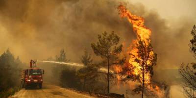 Турецкая полиция арестовала возможного поджигателя лесов