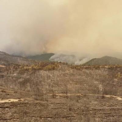 Более ста лесных пожаров локализовано в Турции