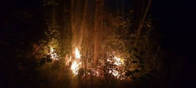 В Карелии окарауливают шесть лесных пожаров