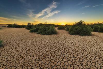 Ученые высчитали вероятность возникновение периодов экстремальной жары: тревожный прогноз и мира