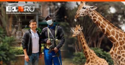 «Поразили бегающие жирафы и охрана отеля с автоматами»: что нужно знать о путешествии в Кению