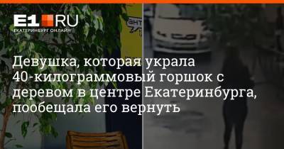 Девушка, которая украла 40-килограммовый горшок с деревом в центре Екатеринбурга, пообещала его вернуть
