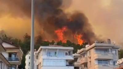 В Турции взяли под контроль более 100 лесных пожаров