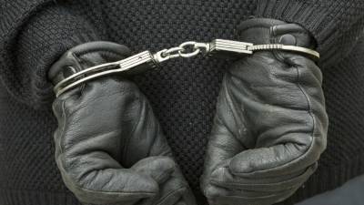 Полиция задержала 42-летнего безработного педофила в Петербурге