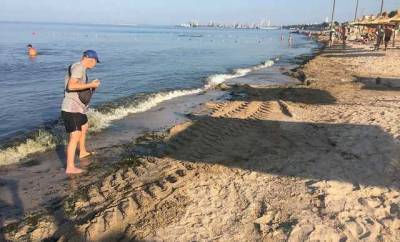 В курортном Бердянске пляжи "утопают" в водорослях, к их расчистке привлекли бульдозеры