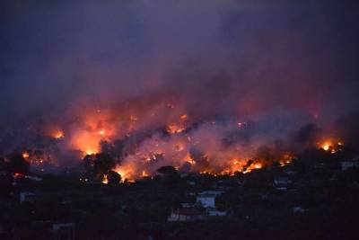 В Греции тушат масштабный лесной пожар на полуострове Пелопоннес
