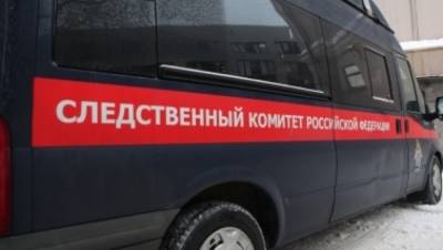 СК возбудил дело после попытки похищения школьницы из Вологды