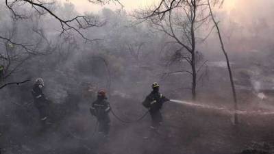 В Греции из-за лесных пожаров пришлось эвакуировать несколько деревень