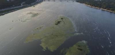 В Минэкологии проверили реки Украины: Обнаружены фосфаты, пестициды и следы препаратов от COVID-19
