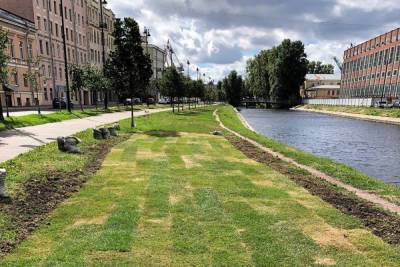 Жители Коломны самостоятельно постелили газон на набережной Пряжки