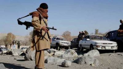 В Афганистане заявили о ликвидации более чем 250 боевиков "Талибана"