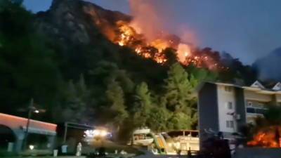 В турецкой провинции Анталья в результате пожара погибли семь человек