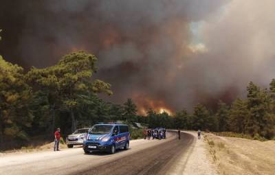В Греции жителей четырех поселений эвакуировали из-за пожаров