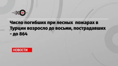 Число погибших при лесных пожарах в Турции возросло до восьми, пострадавших — до 864