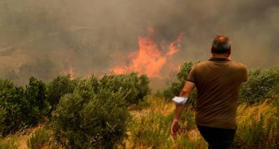 Число погибших при лесных пожарах в Турции возросло до 8, более 850 пострадали