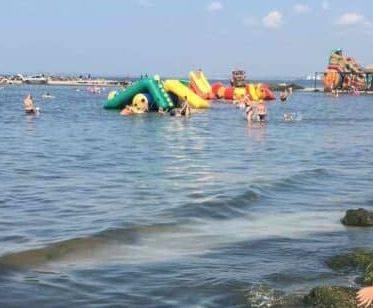 На пляжах Бердянска появились тонны водорослей. ФОТО