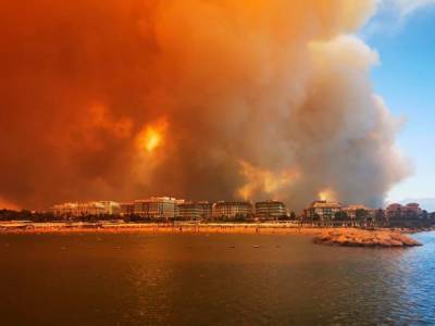 Средиземноморские страны страдают от лесных пожаров и рекордной жары