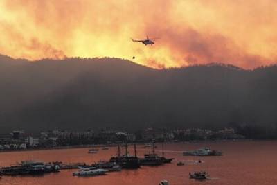 Террористы взяли на себя вину за лесные пожары в Турции