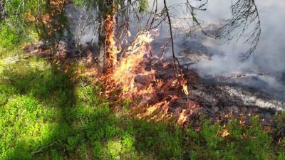 Спасатели с вертолета тушат крупный пожар в Оренбурге