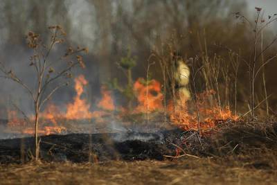 Израиль в огне: три мощных пожара разгорелись сегодня в Хайфе, Гуш-Эционе и в районе Гильбоа